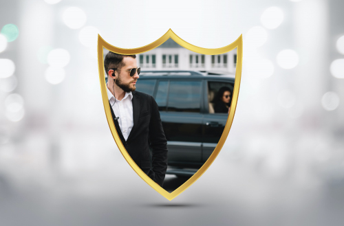 VIP Protection Services